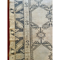 Murphy 5x10 - Medium Area Rug