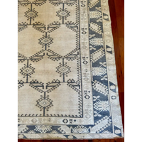 Murphy 5x10 - Medium Area Rug